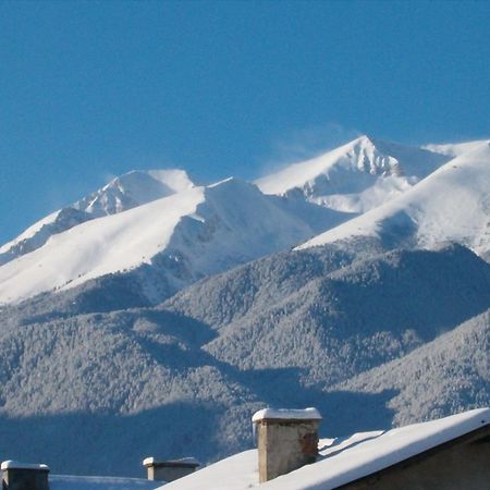 Michel Hotel Bansko Dış mekan fotoğraf